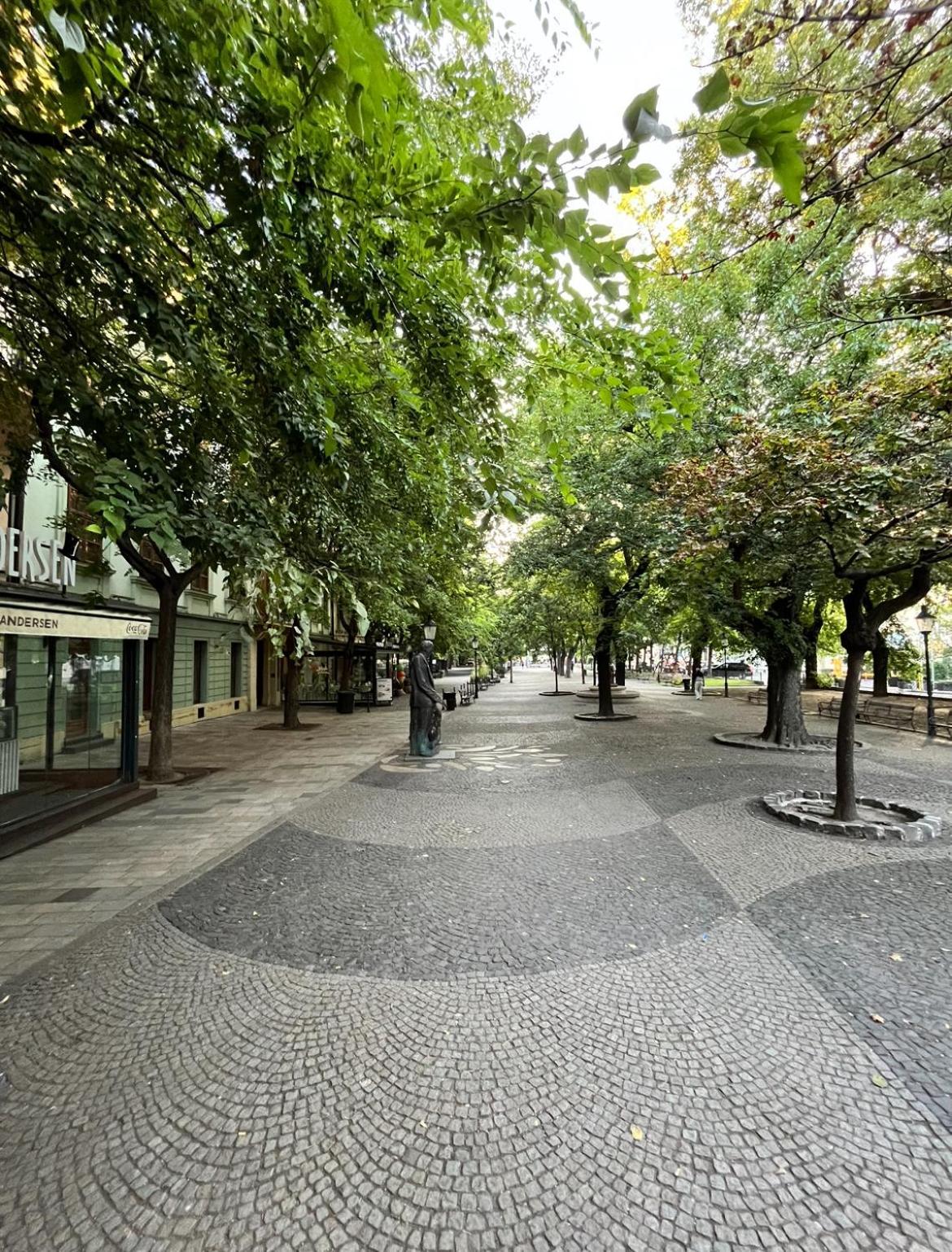 Apartment Hviezdko 布拉迪斯拉发 外观 照片